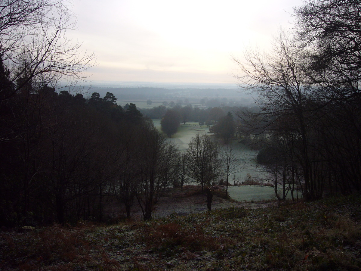 Deepdene Terrace View - Dec 2012